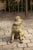 Black English Vintage Composition Sitting Dog Sculpture with Glass Eyes and Red Collar For Sale - Image 8 of 8