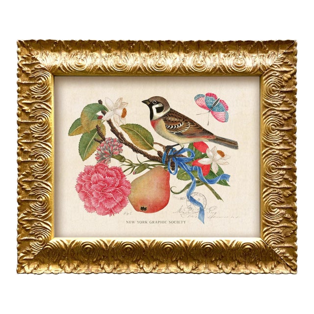 Reproduction Vintage Birds and Butterflies Art Print (Bird#1), Framed For Sale