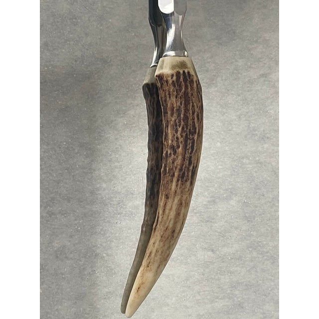 Antique letter opener stainless steel with horn handle. Collectible