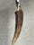 Antique letter opener stainless steel with horn handle. Collectible