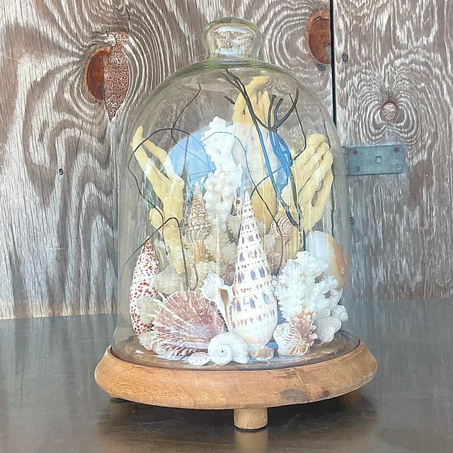 Vintage Coastal Shell Cloche | Chairish