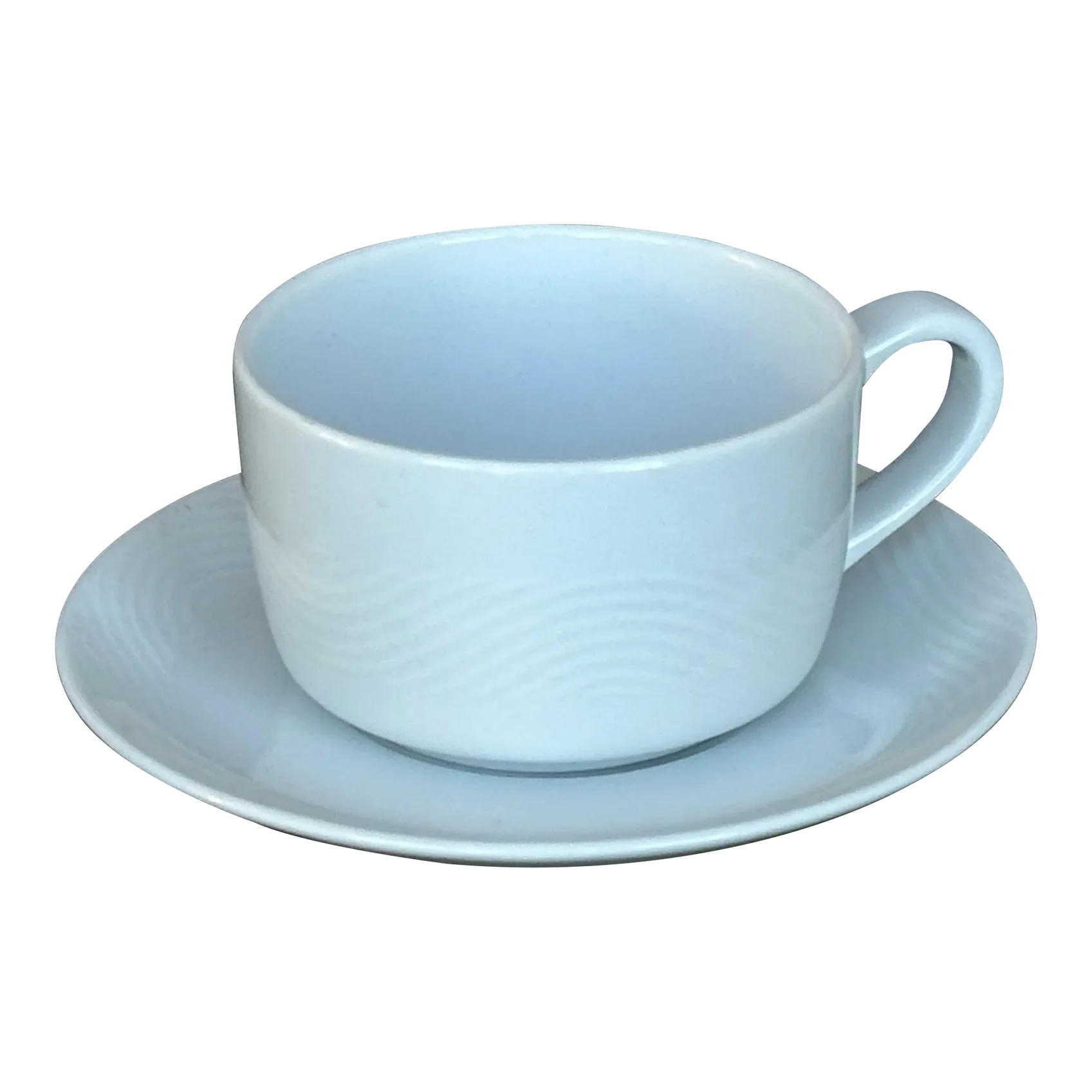Vintage Bauscher Weiden Germany Cup and Saucer Designed for Pan Am