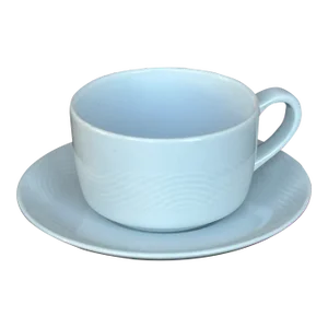 Vintage Bauscher Weiden Germany Cup and Saucer Designed for Pan Am