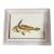 18th-Century Hand-Colored Engraving "The Knight-Fish" by Shaw & Nodder – Framed For Sale
