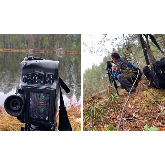 "Deep_Mirroring_Forest_006" Triptych, Limited Edition Fine Art Photograph by Bernhard Lang, Set of 3 For Sale - Image 12 of 12