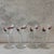 Mid-Century Modern Mid 20th Century Down on the Farm Cordial Glasses by Libbey - Set of 4 For Sale - Image 3 of 10