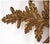 Vintage Carved Gilt Armorial Wall Crest Sculpture For Sale - Image 11 of 17