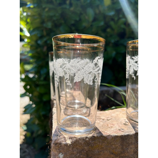1950s Set of Six Mid Century Modern Bartlett Collins Highball Glasses- Beautifully Designed Grapevines Around Upper Half of Glasses With 24k Gold Trim For Sale - Image 11 of 11