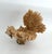 Rare Table Coral Sculpture For Sale In Los Angeles - Image 6 of 8