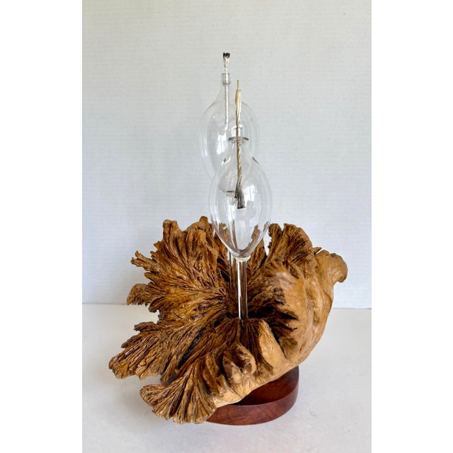 Wood 1970s Organic Modern Burl Wood Sculptural Double Oil Lamp Centerpiece For Sale - Image 7 of 11