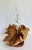 Wood 1970s Organic Modern Burl Wood Sculptural Double Oil Lamp Centerpiece For Sale - Image 7 of 11