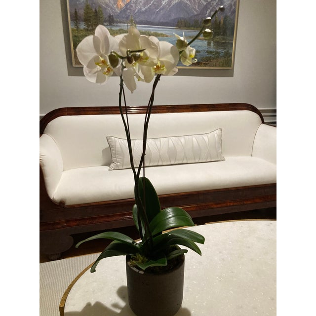 White 19th Century Antique Empire Style Mahogany Sofa For Sale - Image 8 of 10