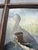 Brown Half Duck, Gouache Painting For Sale - Image 8 of 13