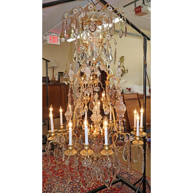 19th Century Palatial French Louis XV Style Chandelier Attributed to Baccarat For Sale In New York - Image 6 of 17