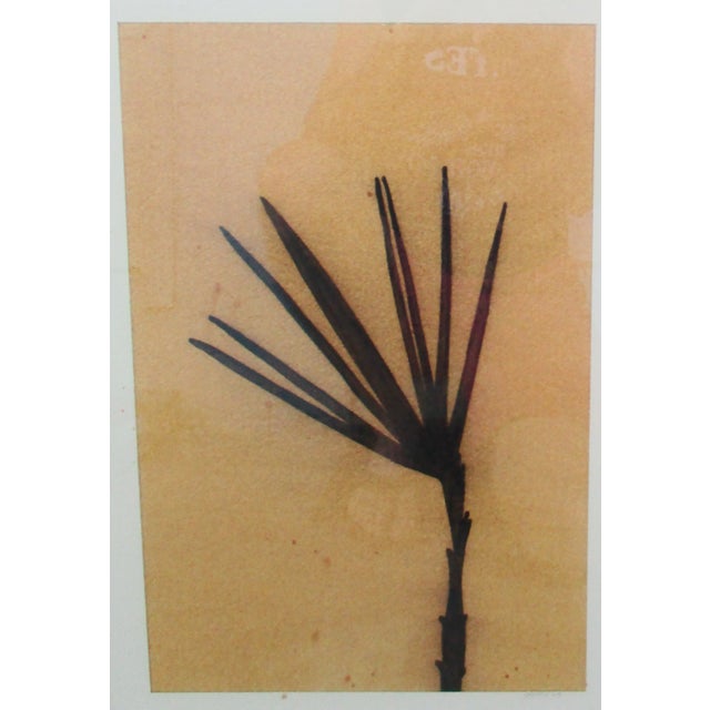 Dan Sayles leaves giclee, matted and framed in wood and gold frames. Signed Sayles 03 bottom right. Frame measures 27" x...