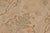 Textile Floral Beige/Tan Wool Rug - 9'0'' X 12'1'' For Sale - Image 7 of 10