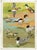 William Neave Parker, Ducks Bird, Mid-20th Century, Gouache Painting For Sale - Image 4 of 9