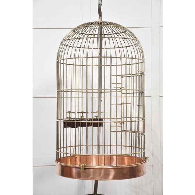 Substantial Brass Bird Cage, 1890s For Sale - Image 5 of 12