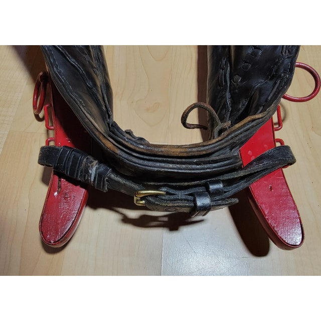 Barnum & Bailey Circus Horse Collar For Sale - Image 10 of 11
