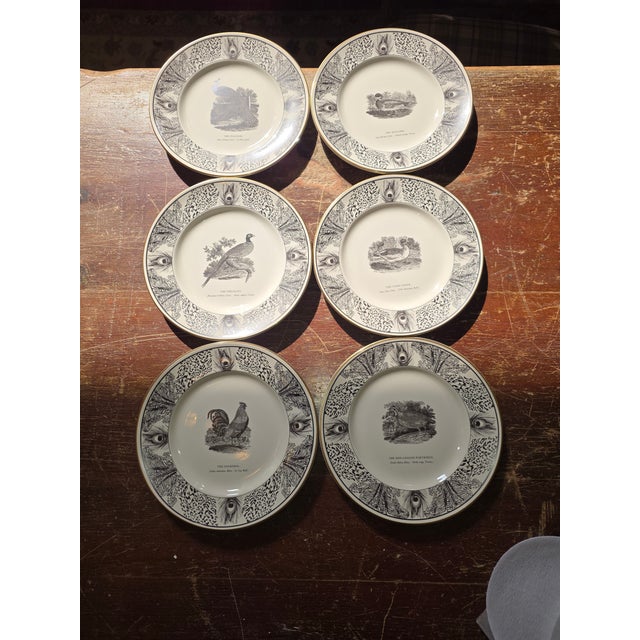 Six Bewick Bird Plates by Prinknash Abbey Pottery For Sale - Image 9 of 12