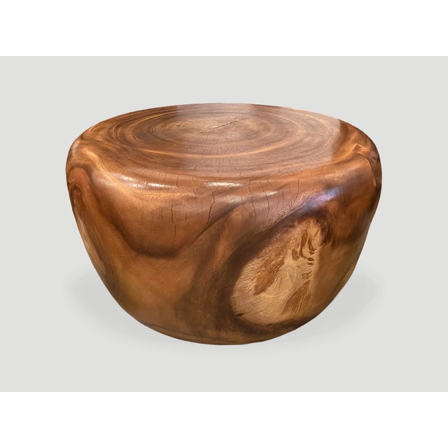 Andrianna Shamaris Drum Shape Suar Wood Coffee Table For Sale - Image 16 of 18