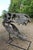 Unknown, Tyrannosaurus Head Fossil for Museum, 1800s, Resin For Sale - Image 9 of 14