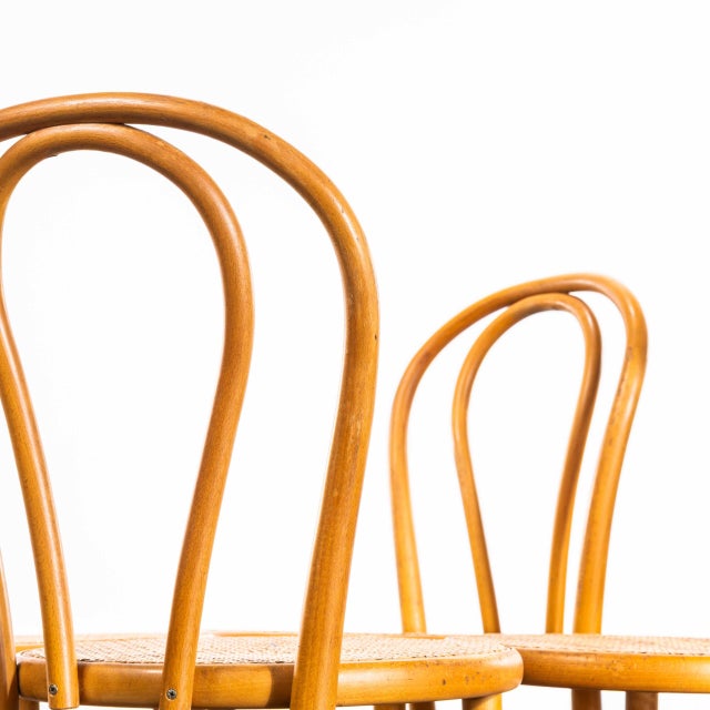 Blonde Hoopbacks with Cane Seat, 1960s, Set of 4 For Sale - Image 4 of 11