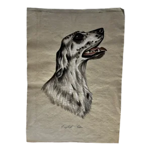 Vintage English Setter Dog Portrait Print