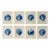 Set of 8 – Blue and White Conch Shells Collection | Coastal Natural History Fine Art Prints For Sale