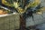 Realism Don David Palm Tree, New York City circa 1980 For Sale - Image 3 of 3