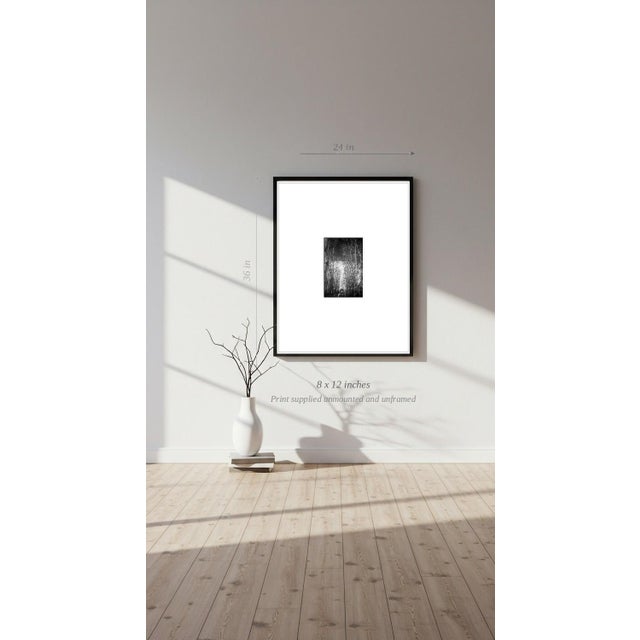 Paul Cooklin, Garibaldi Monument, Edition of 50 For Sale - Image 6 of 7