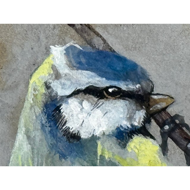 Royal Blue Victorian Watercolour Painting Apple Blossom Eurasian Blue Tit Bird Ornithology by Arthur Wardle For Sale - Image 8 of 12