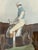 C. Hunt for John F. Herring “Bloomsbury” Equestrian Engraving, Framed For Sale In San Francisco - Image 6 of 12