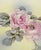 Hand-Painted Made in Prussia, Austria, Japan Floral Porcelain Plate Mixed Collection For Sale - Image 10 of 15