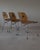 1950s Charles and Ray Eames DCM Dining Chairs Herman Miller, USA. These 1950s Eames DCM chairs are a classic piece of mid-...