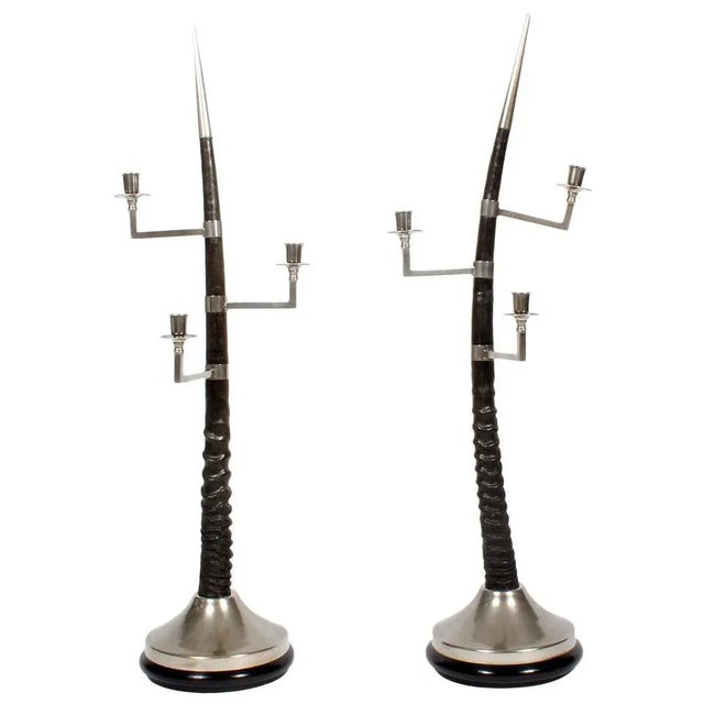 Black Large Oryx Horn Three-Arm Candelabra - A Pair For Sale - Image 8 of 8