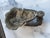 Vintage Classic Medusa Door Knocker For Sale - Image 4 of 5