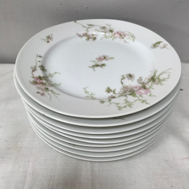 Gda Ch Field Haviland Limoges France Rose Pattern Plates Set of 9