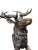 Large Bronze Stag, 20th-Century For Sale - Image 4 of 9