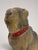 Ceramic 19th Century, Victorian Polychrome Terracotta Pug Dog With Glass Eyes For Sale - Image 7 of 8