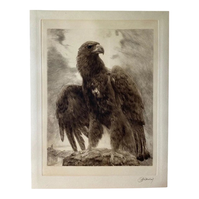 Curt Meyer-Eberhardt (1895–1977) Portrait of an Eagle Etching With Aquatint, C. 1930s For Sale