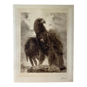 Curt Meyer-Eberhardt (1895–1977) Portrait of an Eagle Etching With Aquatint, C. 1930s