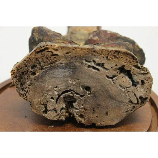 Asian Buddha Wood Sculpture & Glass Dome For Sale In Detroit - Image 6 of 7