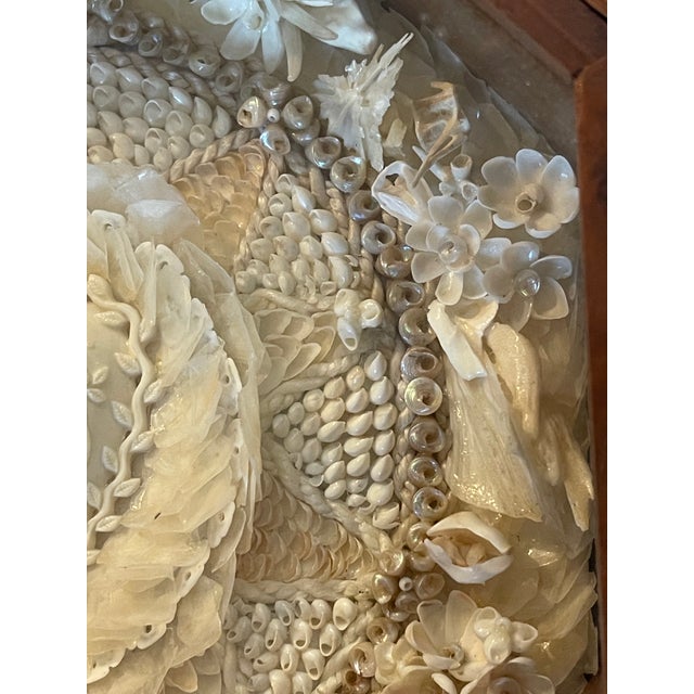 1940s 1940s American Folk Art White Sea Shell Sailors Valentines For Sale - Image 5 of 6
