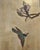 Chinese Export Six-Panel Gilt Landscape Coromandel Screen 8 Ft For Sale - Image 13 of 18