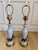 Art Deco Vintage Pale Blue Opaline Glass & Brass Palm Leaf Table Lamps - a Pair For Sale - Image 3 of 8