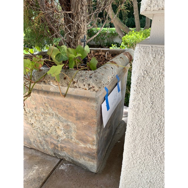 Ralph Lauren Rope Rattan Chairs For Sale - Image 11 of 13