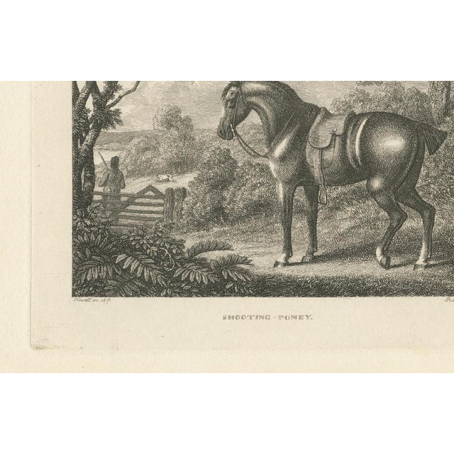 Paper Samuel Howitt, Shooting Pony, 1799, Engraving For Sale - Image 7 of 10