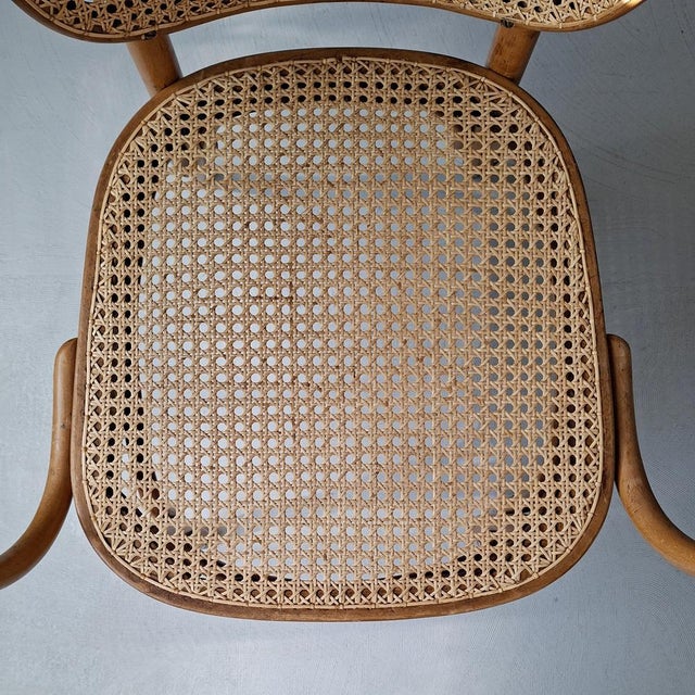 No. E 821 F Chair by Eberhard Krauss for Thonet, 1930s For Sale - Image 6 of 13
