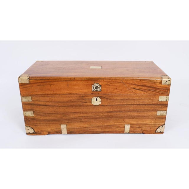 Small Antique Military Campaign Camphorwood Trunk, Early 19th Century For Sale - Image 3 of 18